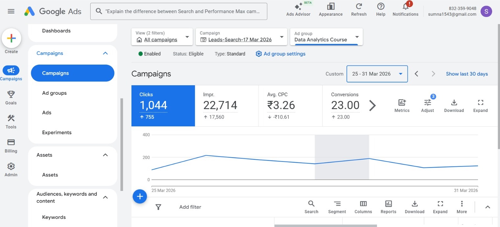 Google Ads Campaign Overview